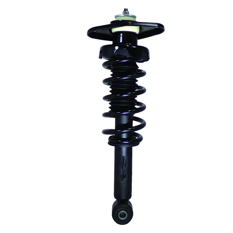 Strut Assembly