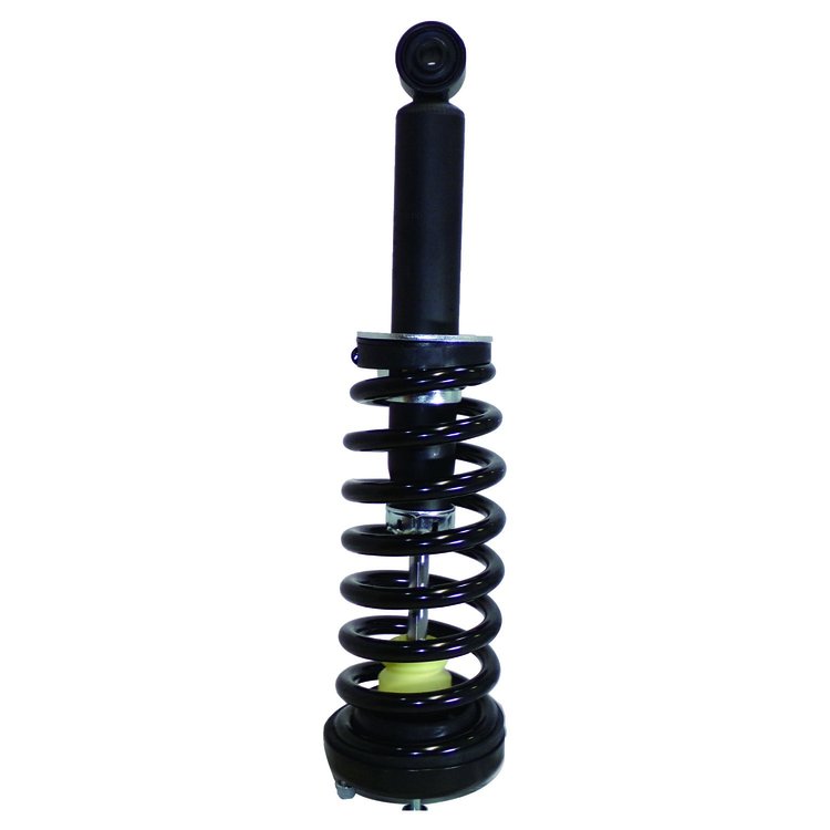 Strut Assembly