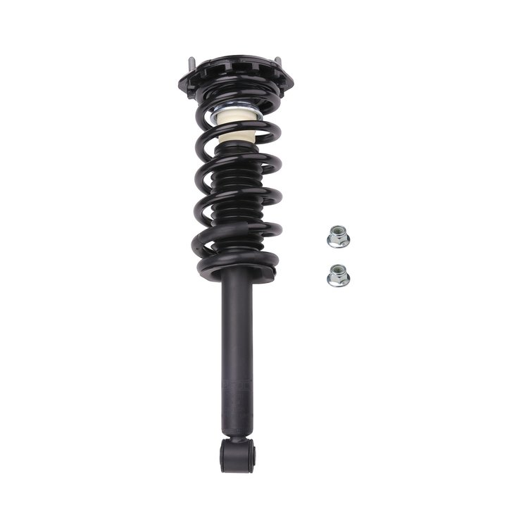Strut Assembly