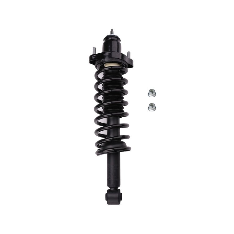Strut Assembly