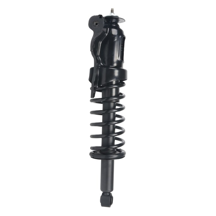 Strut Assembly