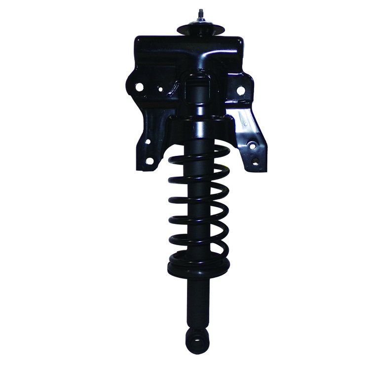 Strut Assembly