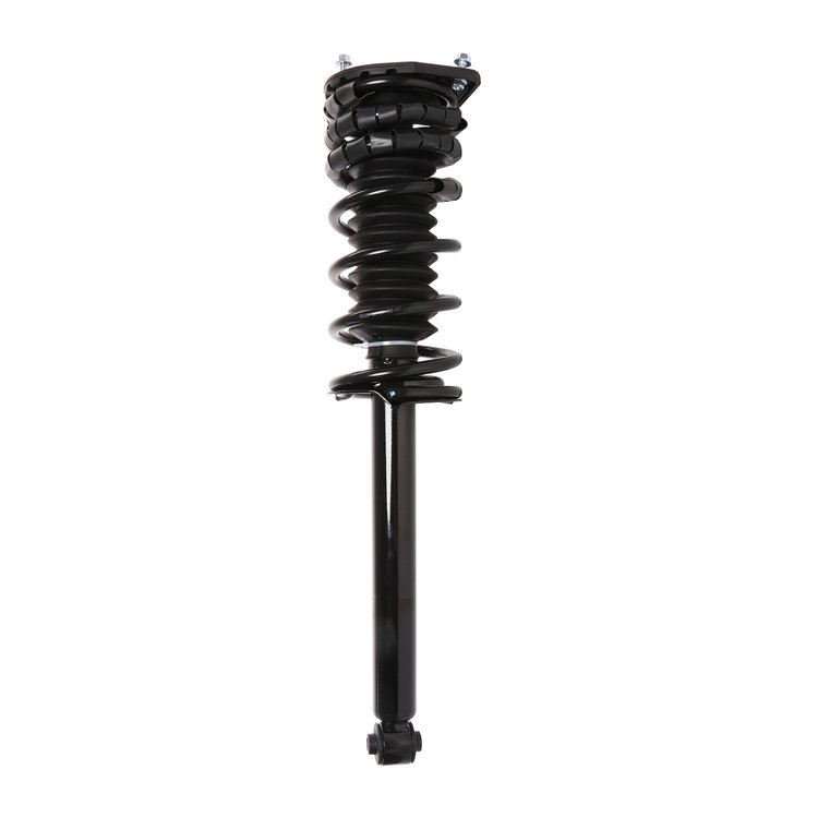 Strut Assembly