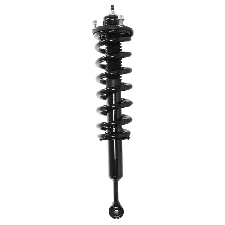 Strut Assembly