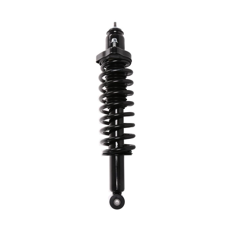 Strut Assembly
