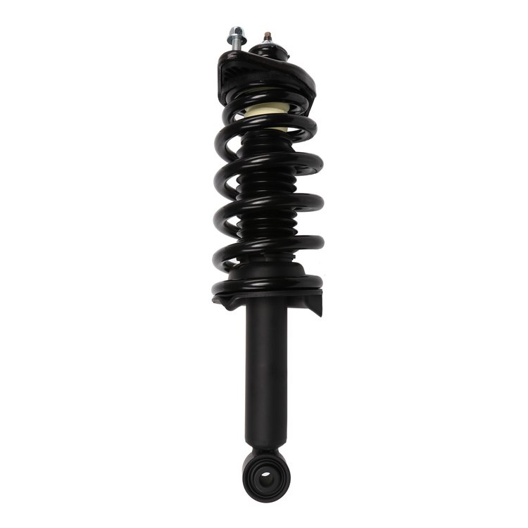 Strut Assembly