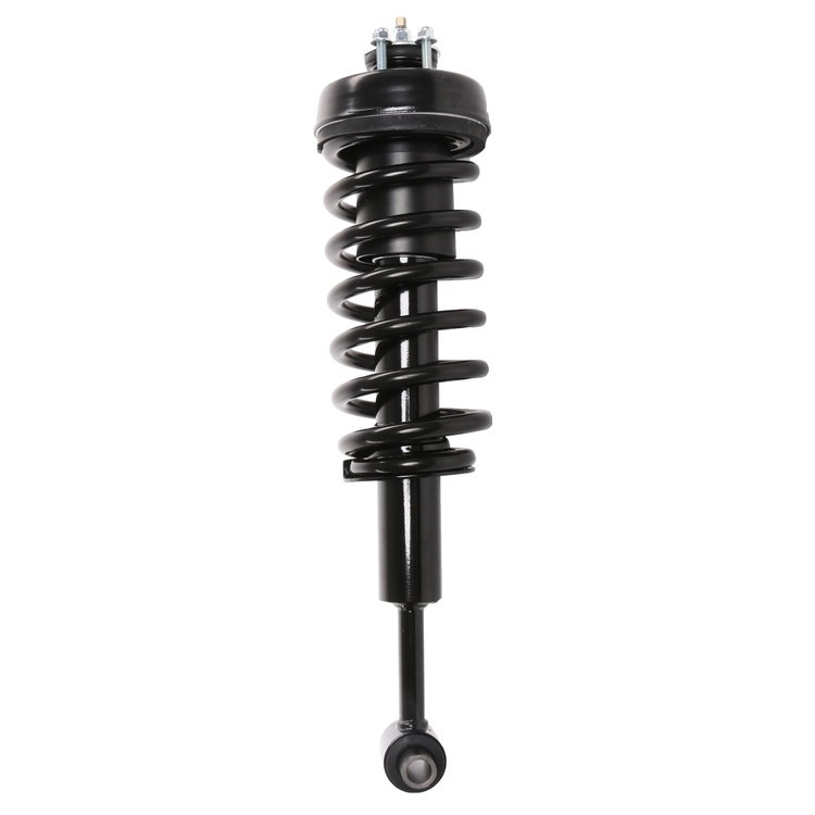 Strut Assembly