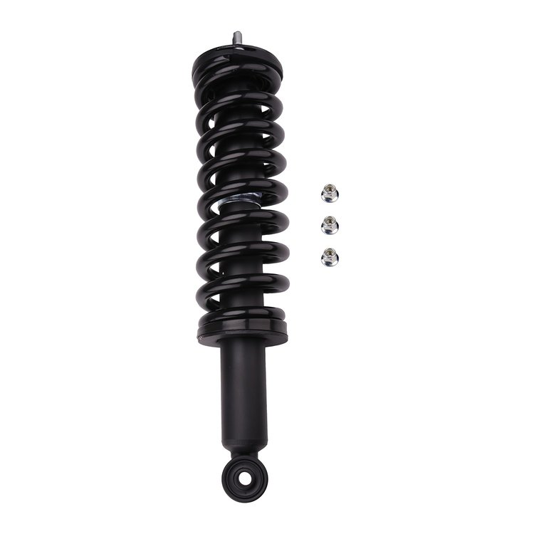 Strut Assembly
