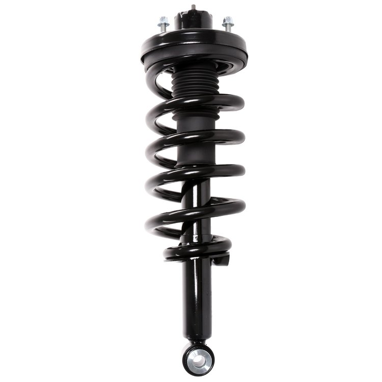 Strut Assembly