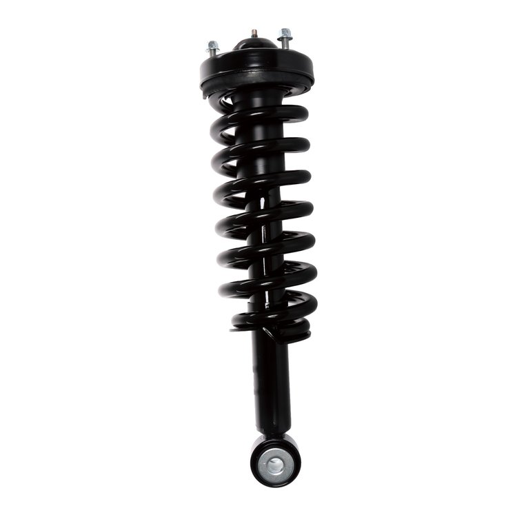 Strut Assembly