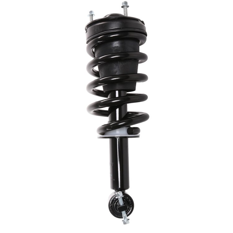 Strut Assembly