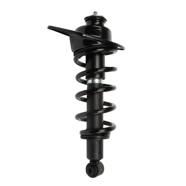 Strut Assembly