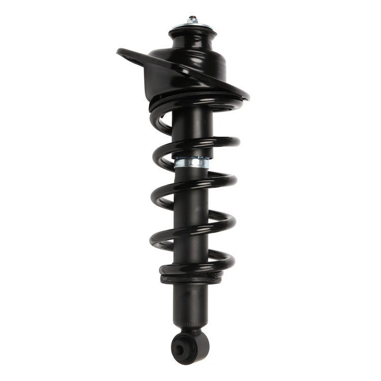 Strut Assembly