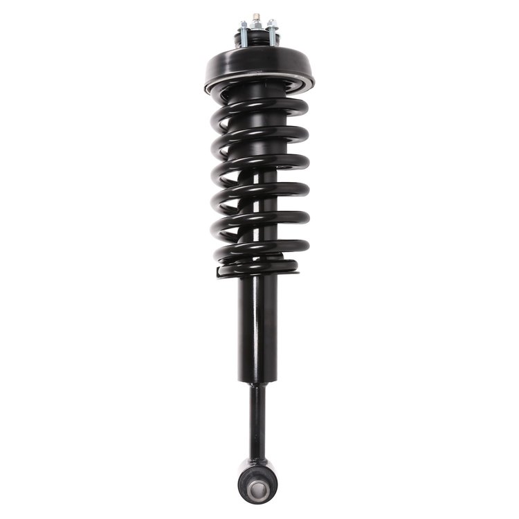 Strut Assembly