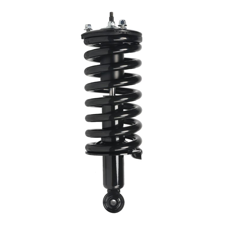 Strut Assembly