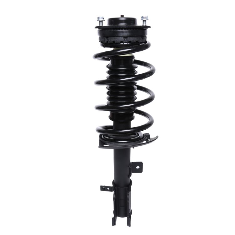 Strut Assembly