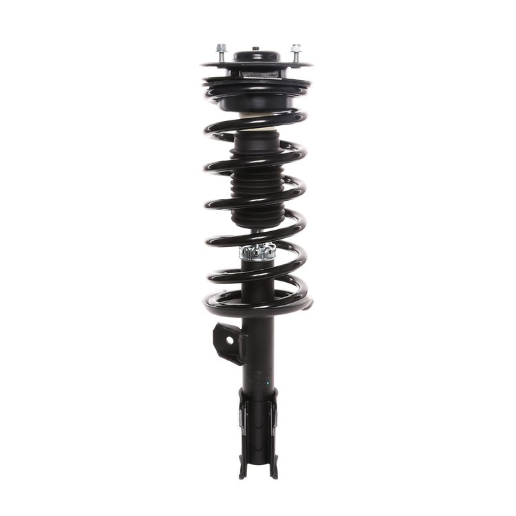 Strut Assembly