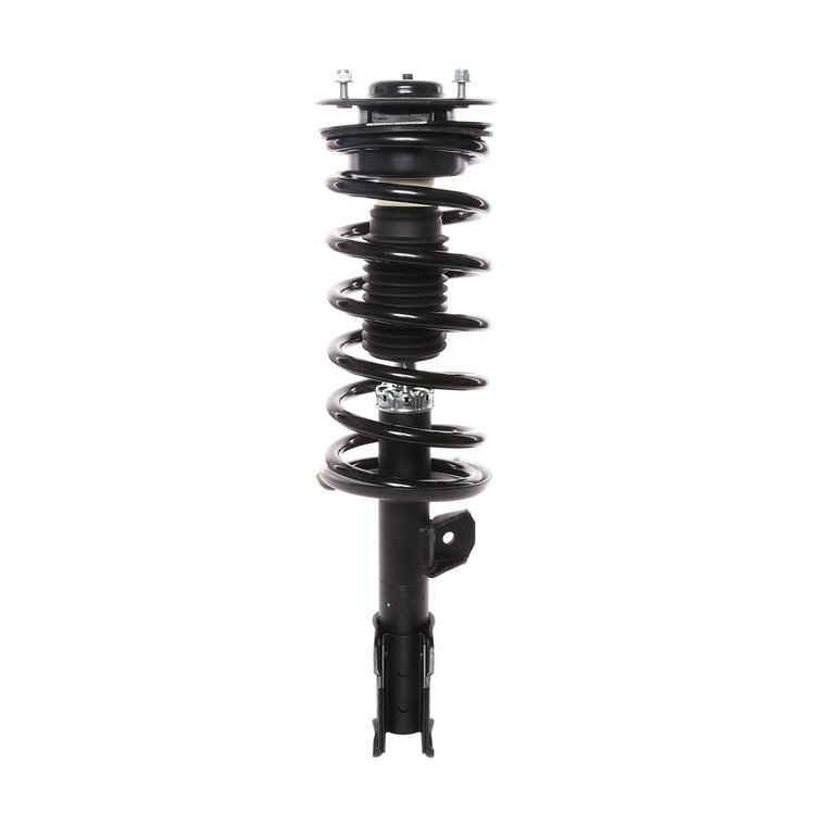 Strut Assembly