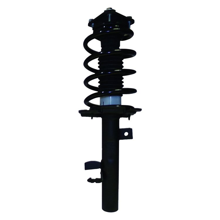 Strut Assembly