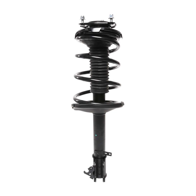 Strut Assembly