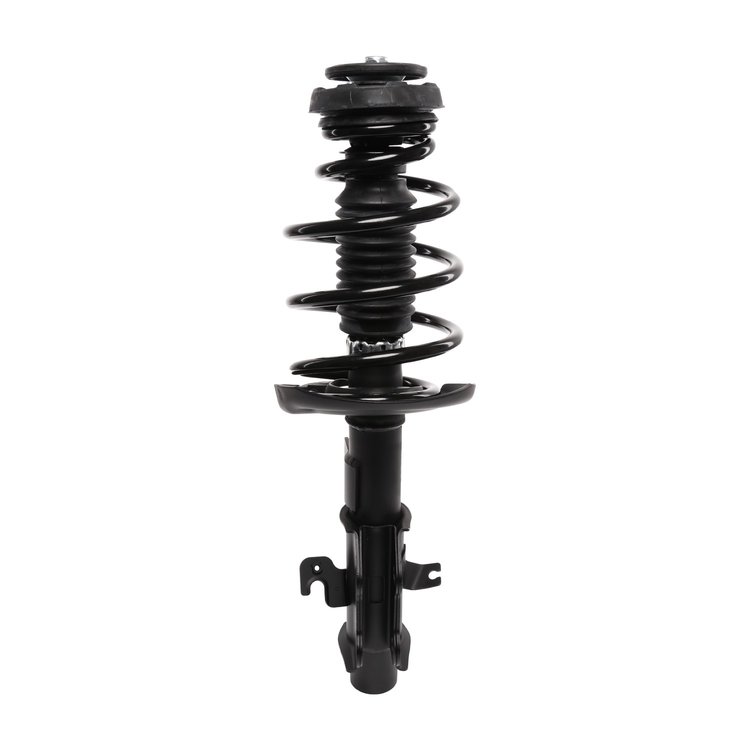 Strut Assembly
