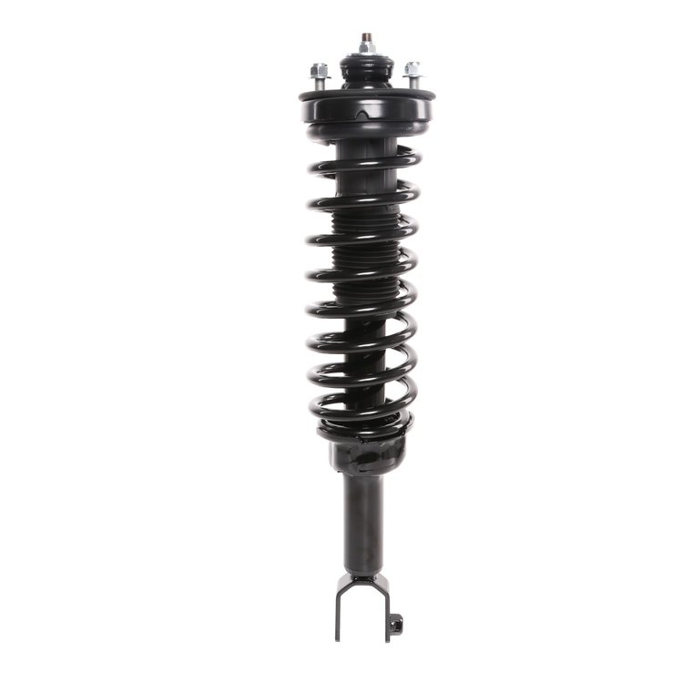 Strut Assembly