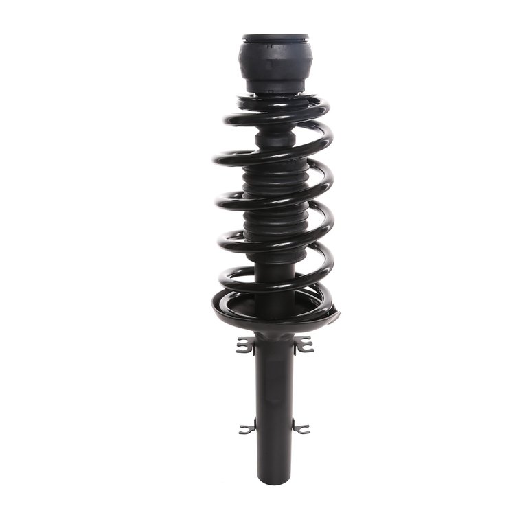 Strut Assembly