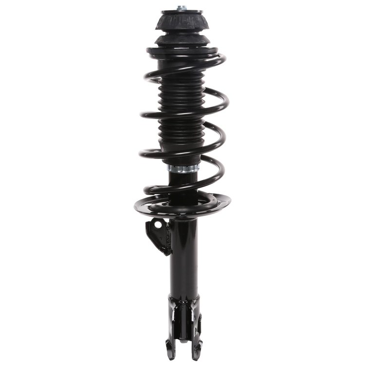 Strut Assembly