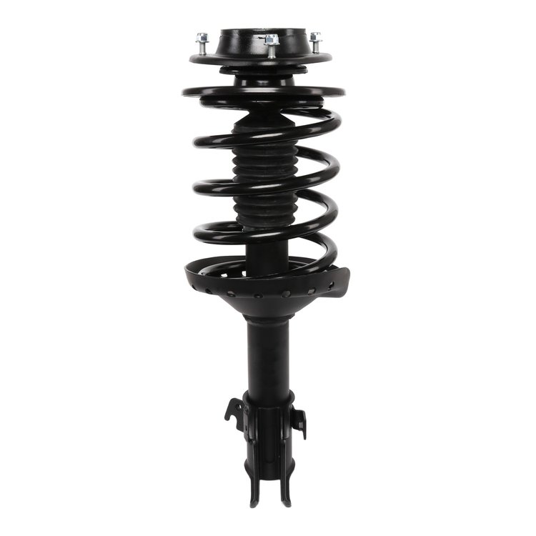 Strut Assembly