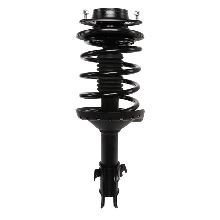 Strut Assembly