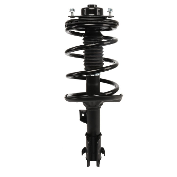 Strut Assembly