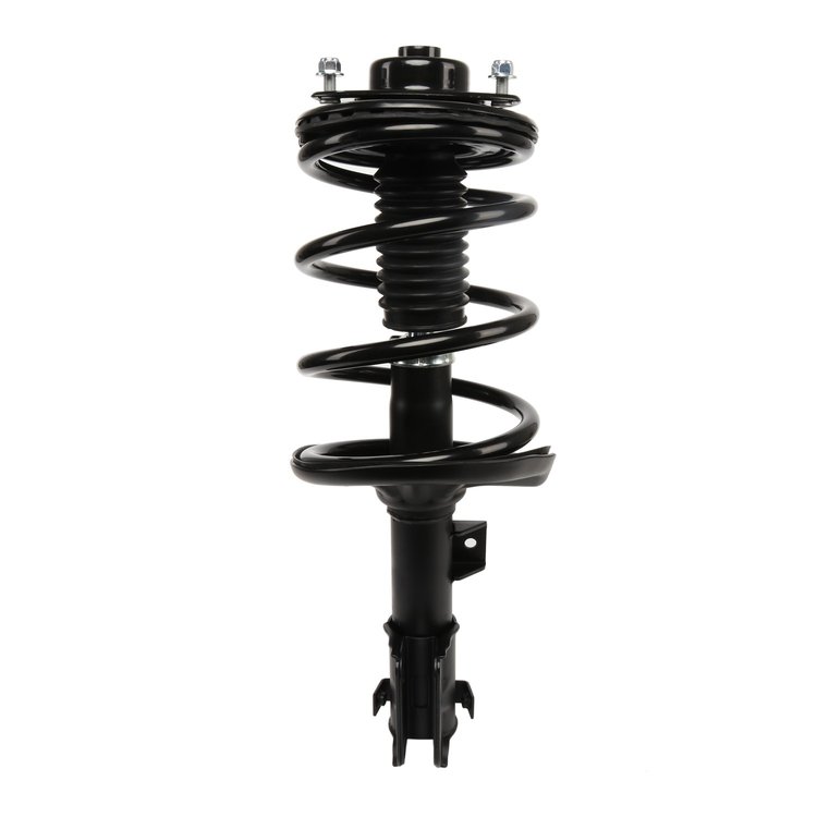Strut Assembly