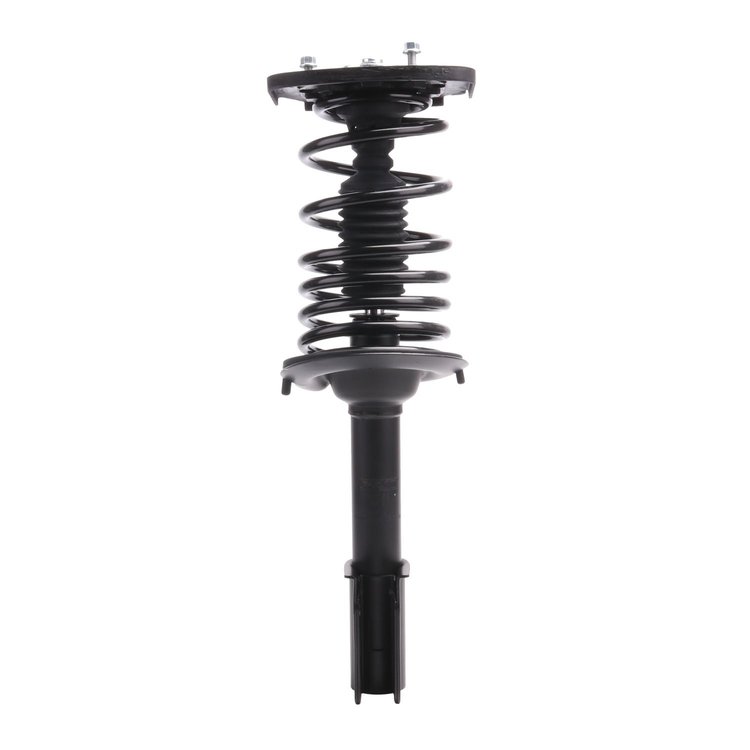 Strut Assembly
