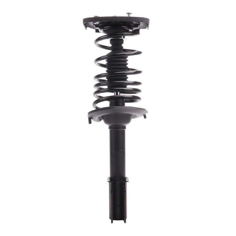 Strut Assembly