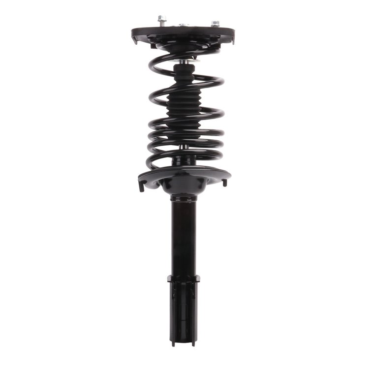 Strut Assembly