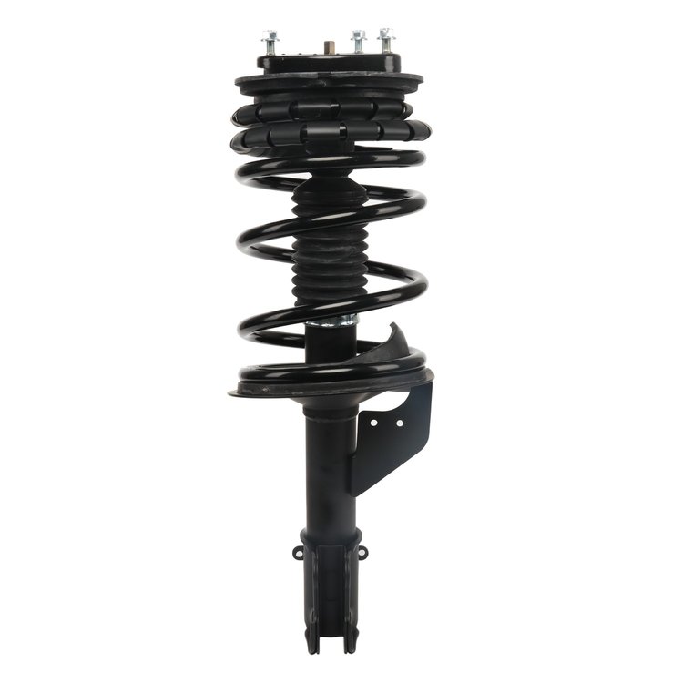 Strut Assembly