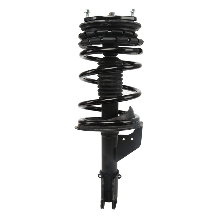 Strut Assembly