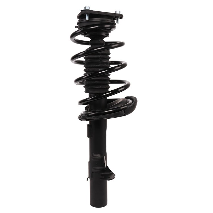 Strut Assembly