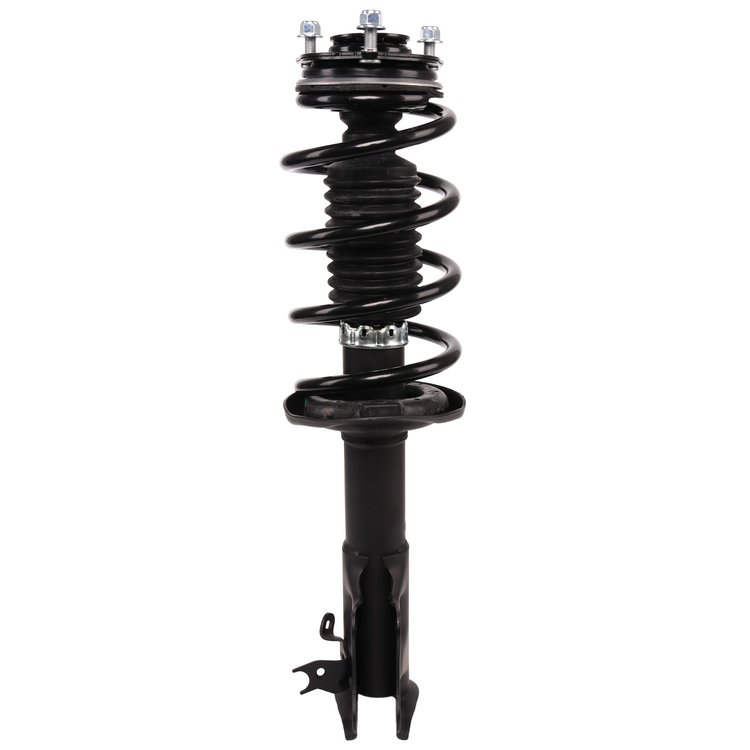Strut Assembly