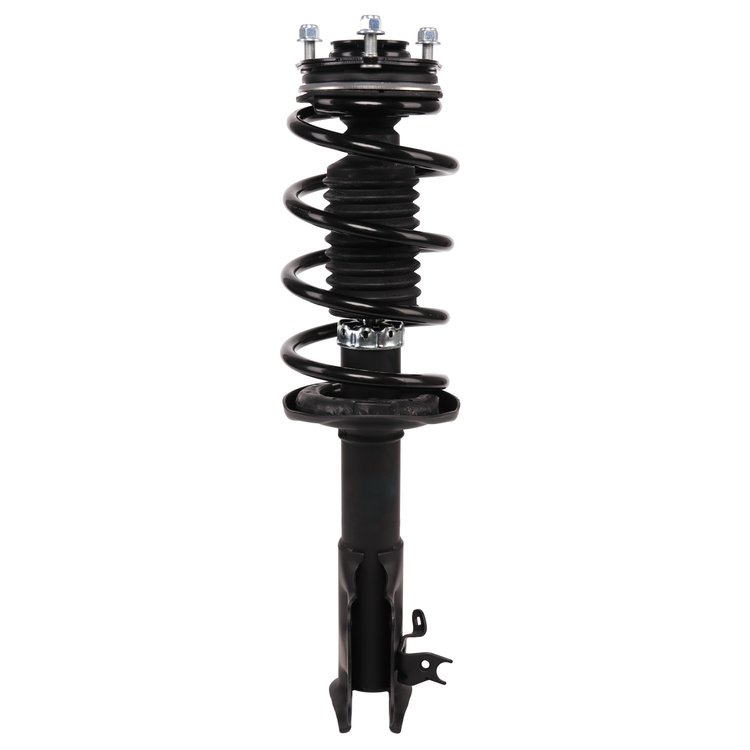 Strut Assembly