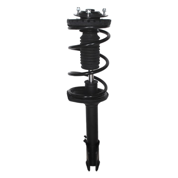 Strut Assembly