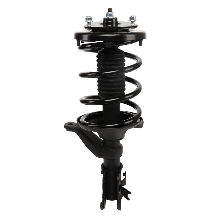 Strut Assembly