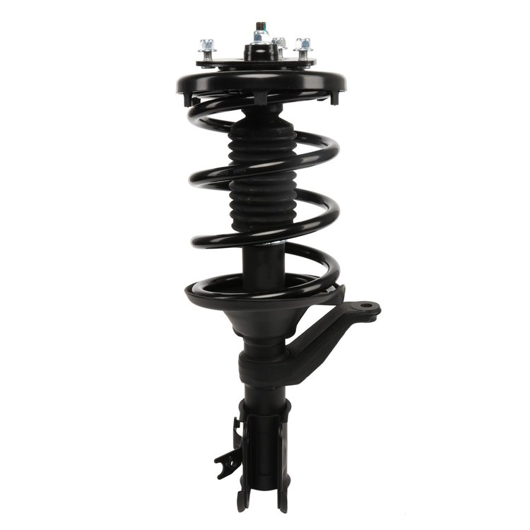 Strut Assembly