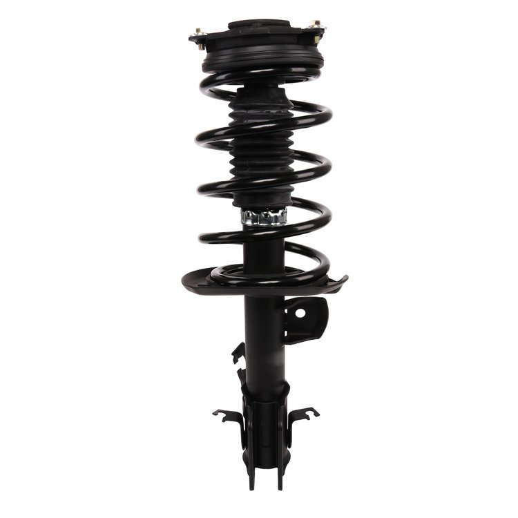 Strut Assembly