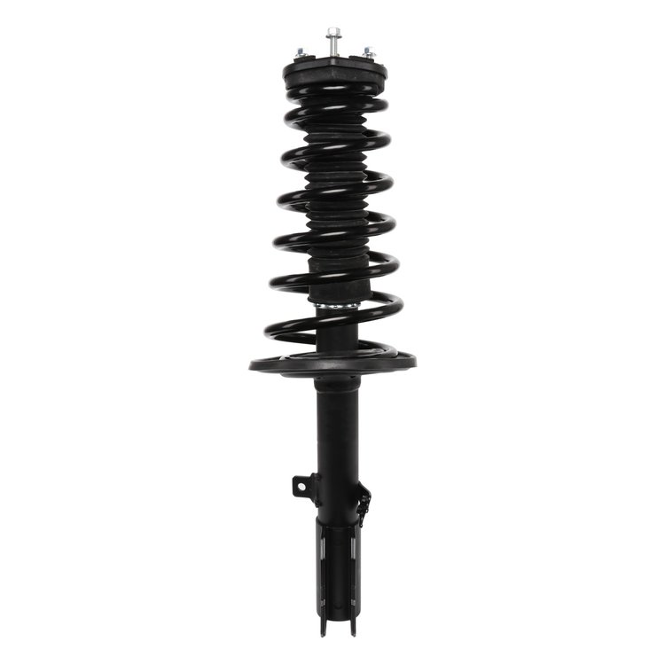Strut Assembly