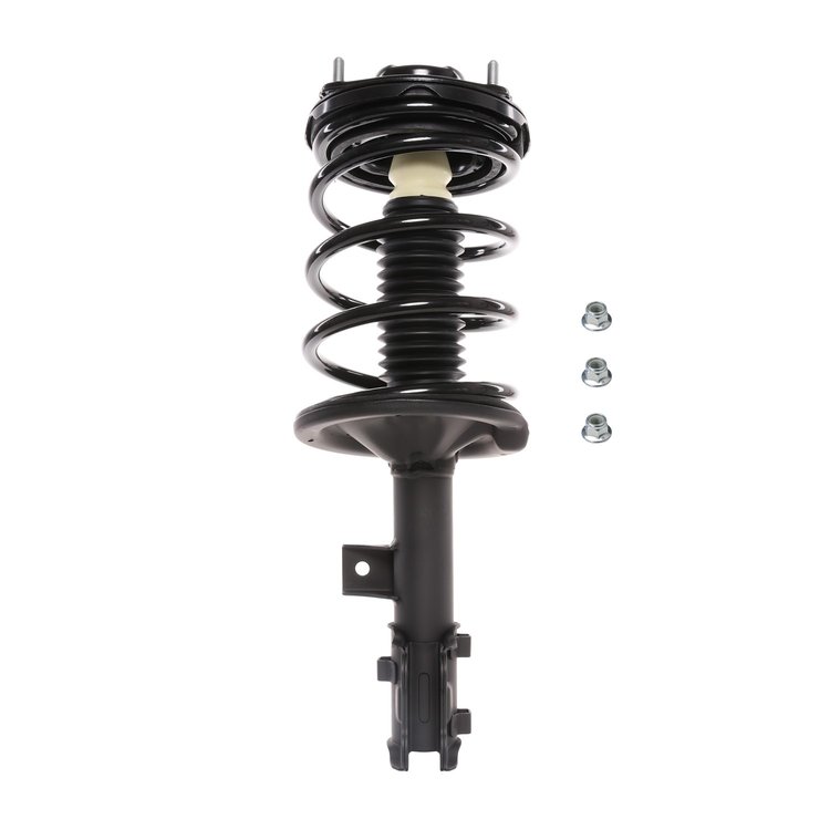 Strut Assembly