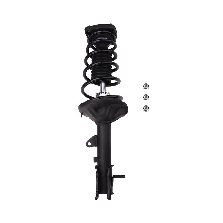 Strut Assembly