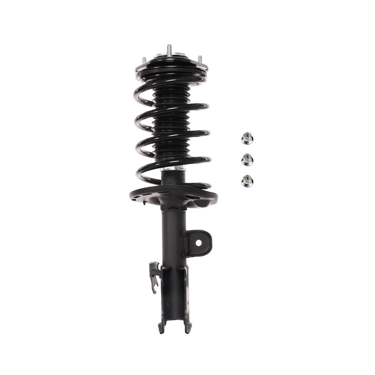 Strut Assembly