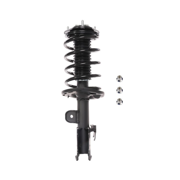 Strut Assembly