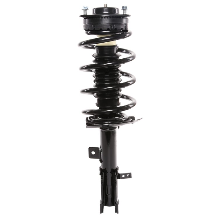 Strut Assembly